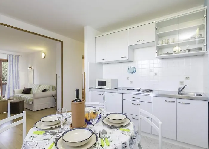 Emanuel 게스트하우스 Tar-Vabriga